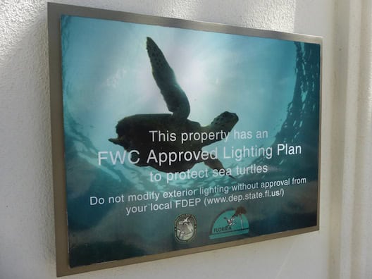 Marriott Oceana Palms turtle protection