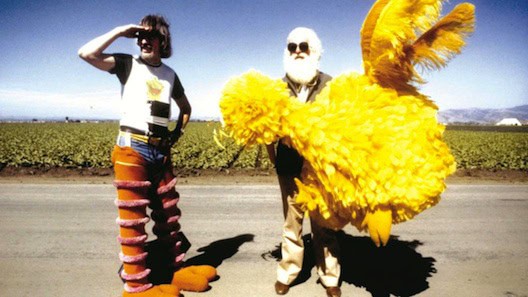 I Am Big Bird