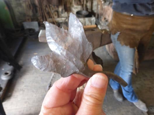 Anhoj leaf