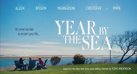 Year by the Sea