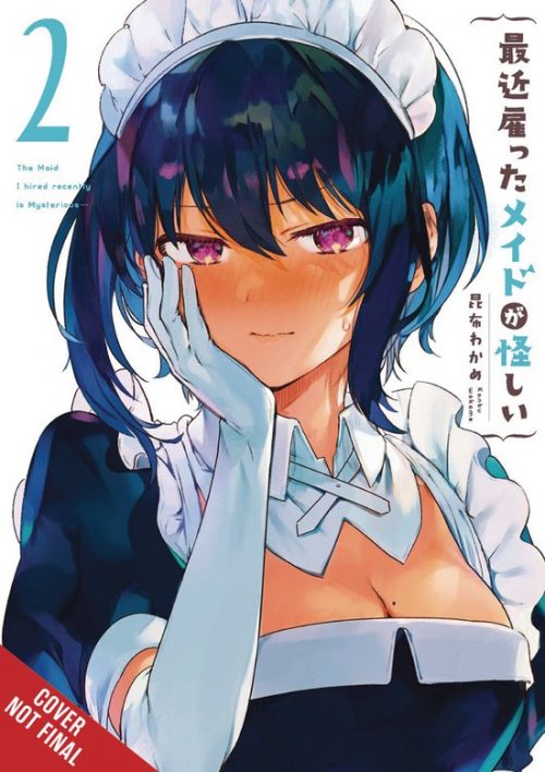 The Maid I Hired Recently Is Mysterious Vol.02