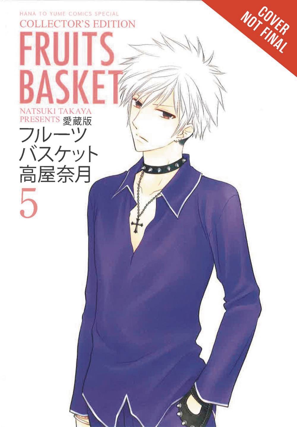 Nendo Addicts - Fruits Basket Collector's Edition Vol.05