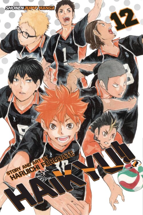 Nendo Addicts - Haikyu!! Vol.12