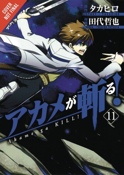 Nendo Addicts - Akame Ga Kill Vol.11