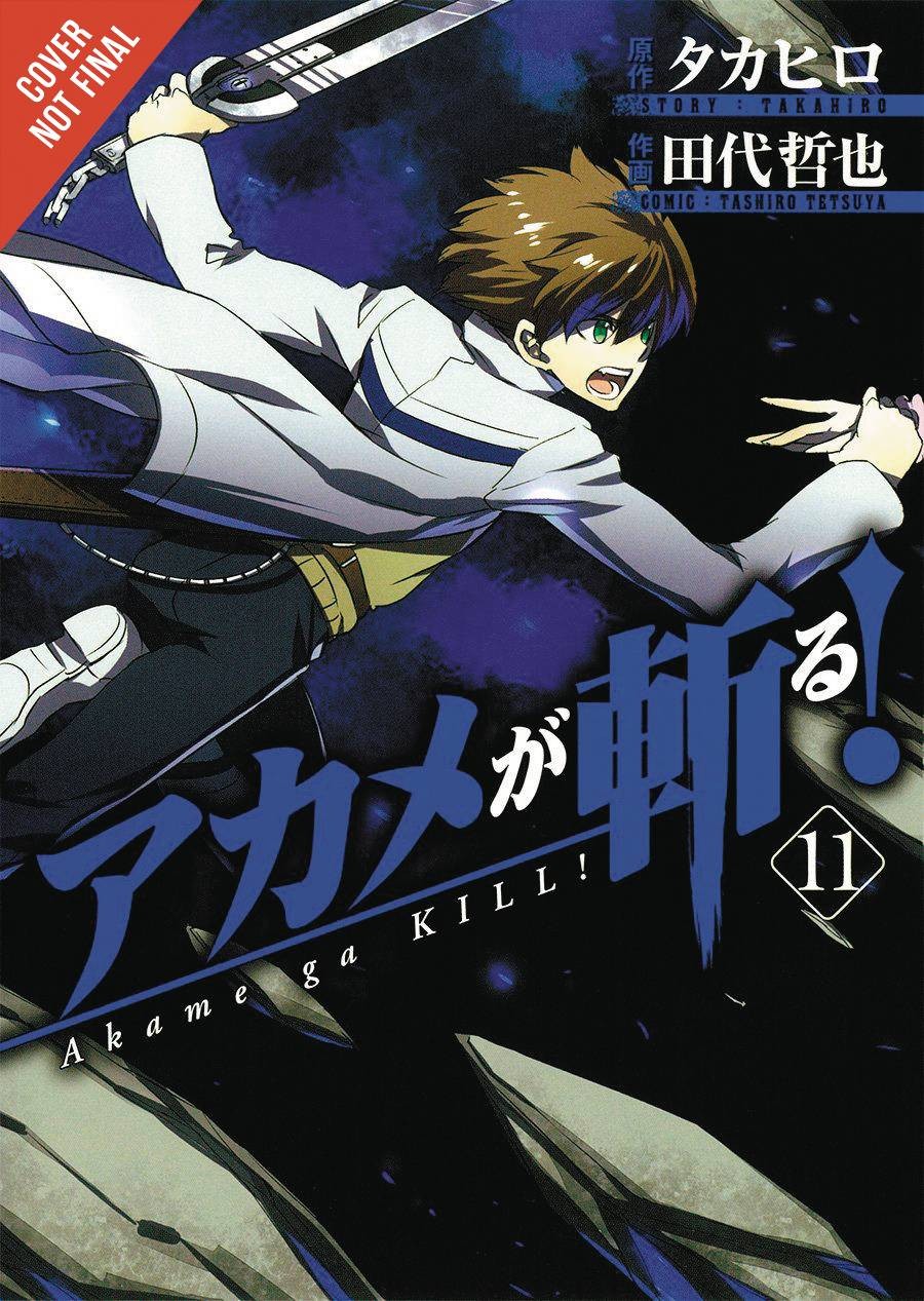 Nendo Addicts - Akame Ga Kill Vol.11