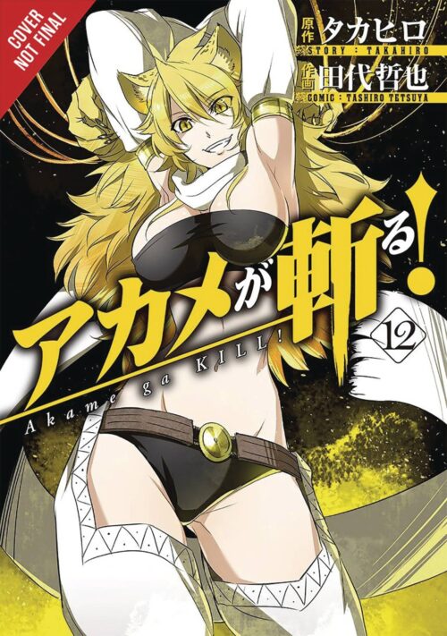 Nendo Addicts - Akame Ga Kill Vol.12