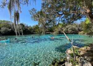 silver glen springs