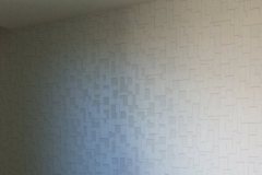 1454743031522402