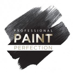 Professional Paint Perfection