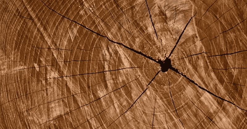 Grade A Teak Wood And 7 Main Advantages
