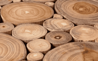 What is Grade A Teak Wood? And 7 Main Advantages
