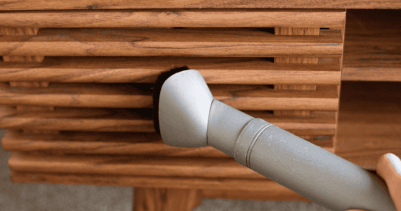 Termites in Wood Furniture and How To Get Rid