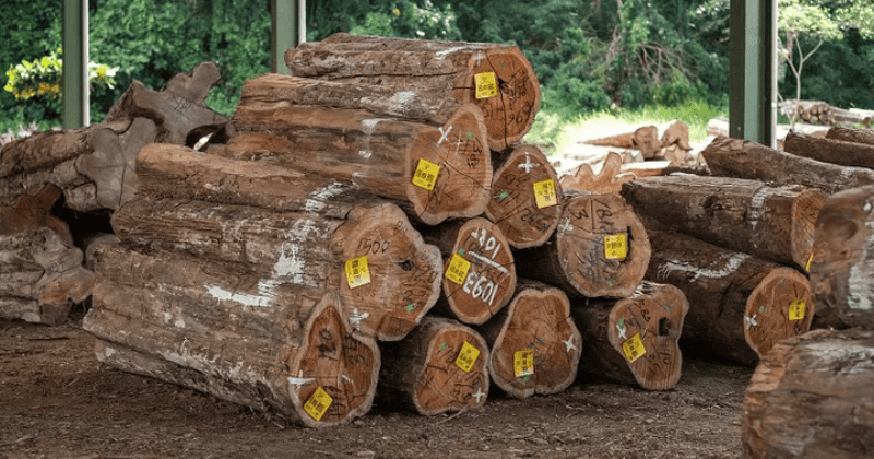 How To Import Garden Teak Furniture From Indonesia