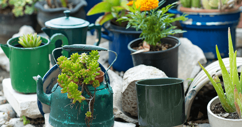 How to Make Bohemian Garden Decor with Teak Wood
