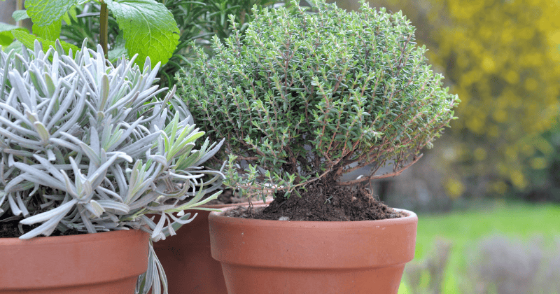 How to Make Scandinavian Garden Decor with Teak Furniture