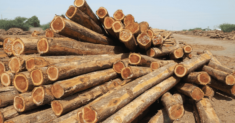Teak Wood Furniture