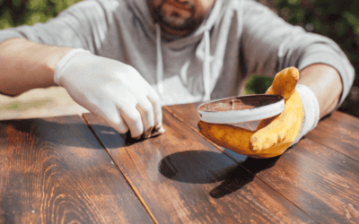 Understanding and Repairing Cracks in Teak Furniture