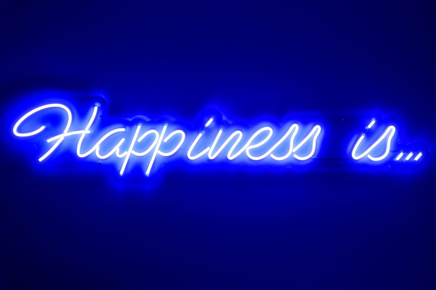 Вывеска из неона Happiness is…