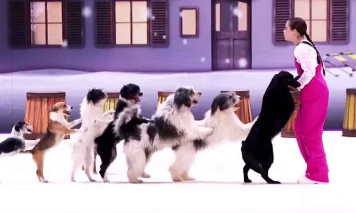 America&rsquo;s Got Talent Goes to the Dogs with Alexa Lauenburger 