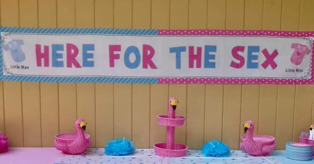 Gender Reveal Outfit Ideas For Moms-to-Be