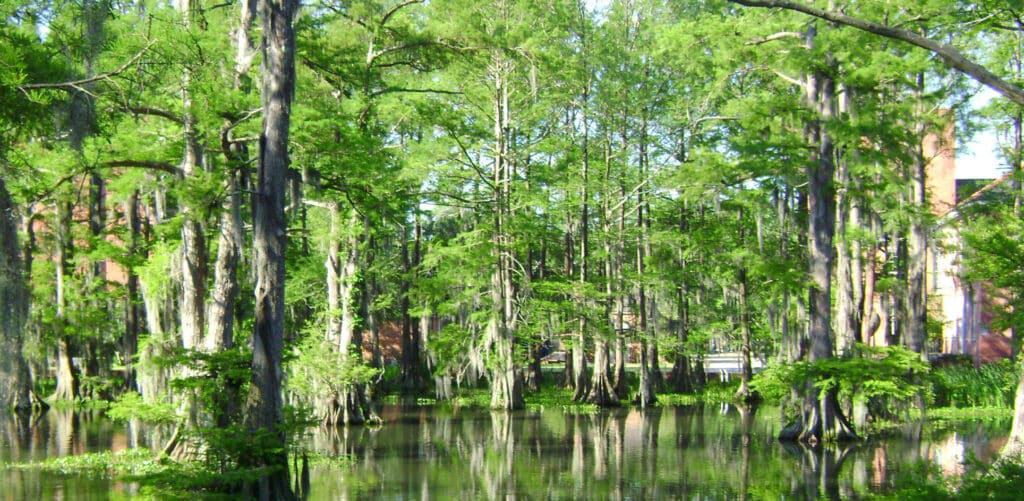 Slidell, Louisiana