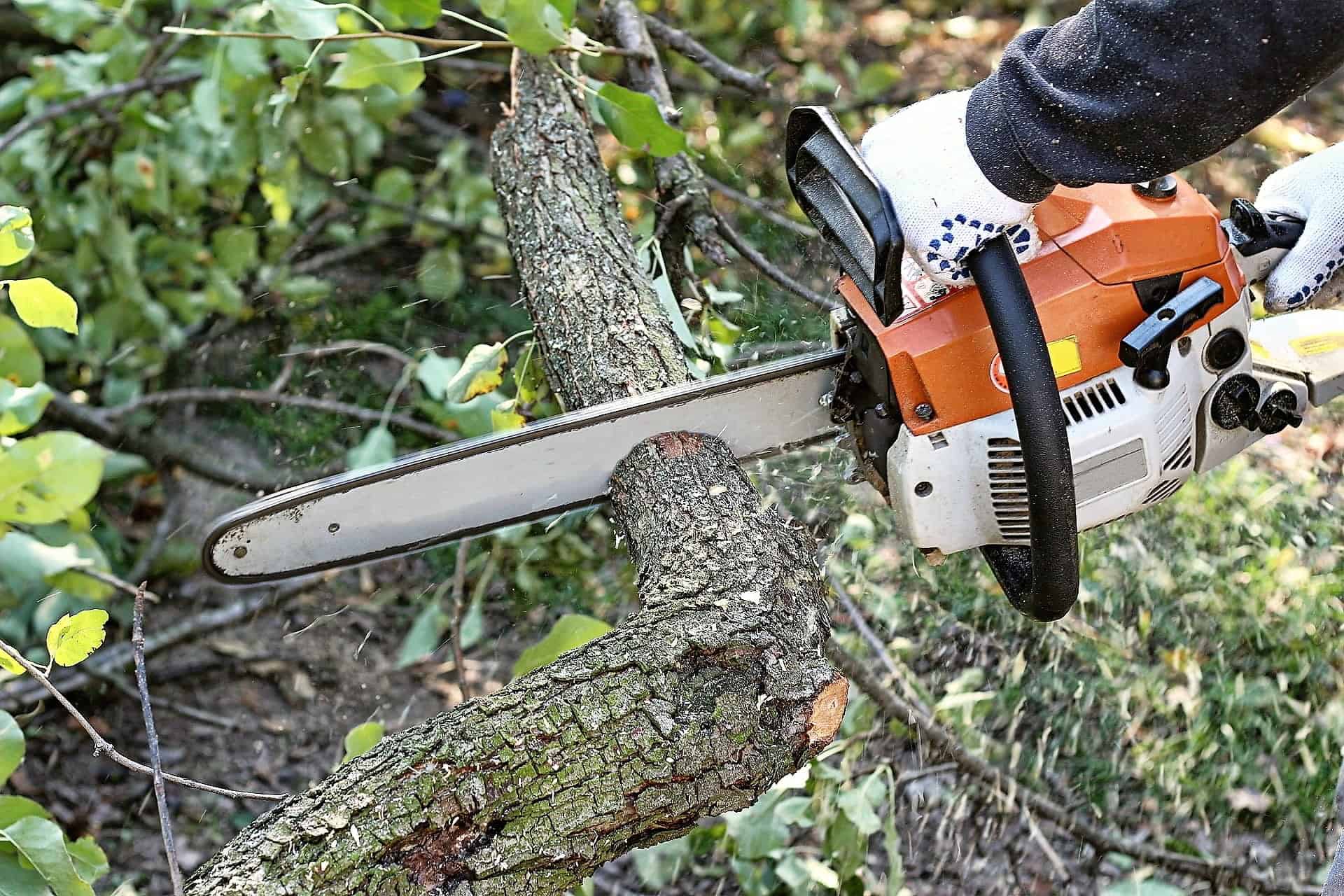 Tree Service 1