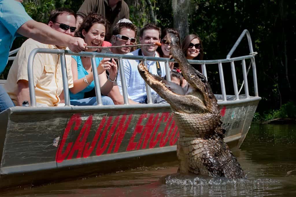 Top Outdoor Activities in Slidell, LA Swamp Tours