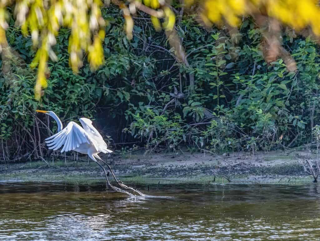 Top Outdoor Activities in Slidell, LA Nature Photography
