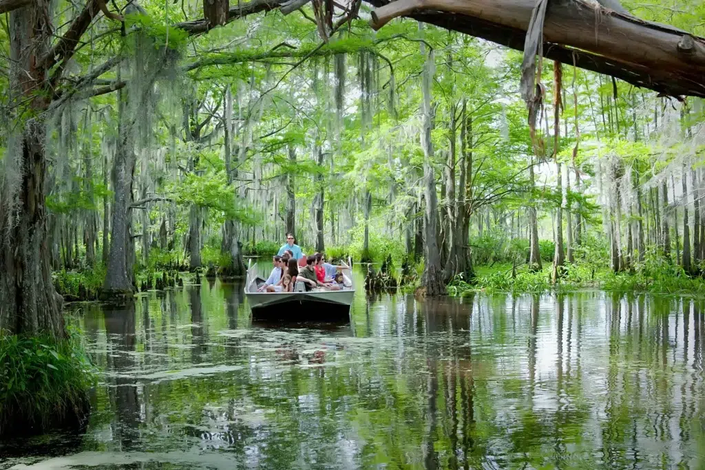 Honey Island Swamp