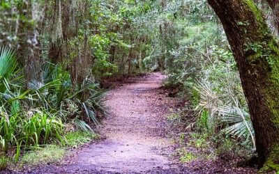 Exploring Slidell, LA in St. Tammany Parish