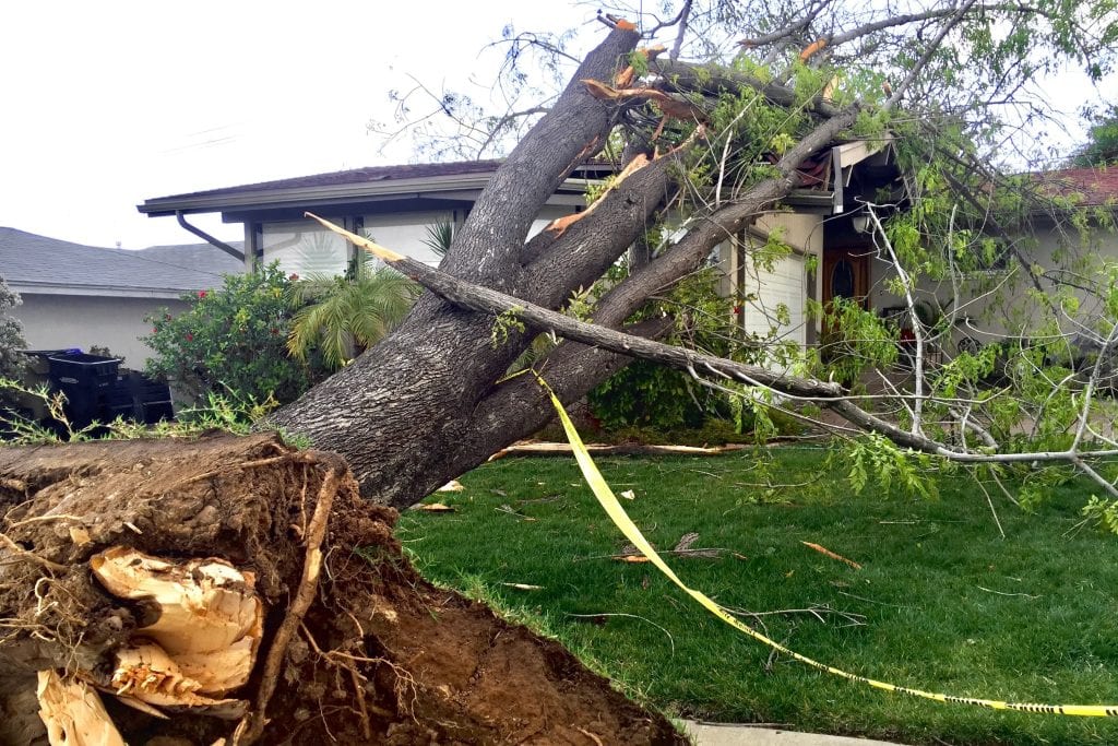 Tree Service in Slidell for storm cleanup