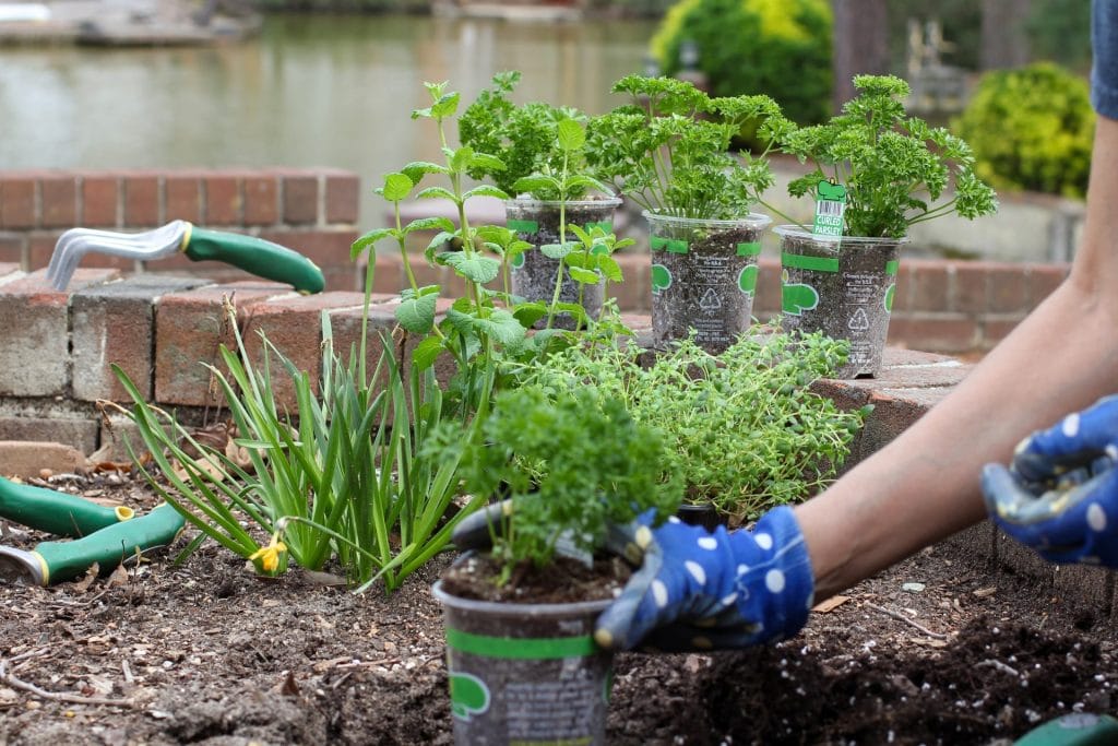 What to Plant in the Springtime for Slidell