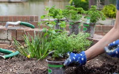 What to Plant in the Springtime for Slidell