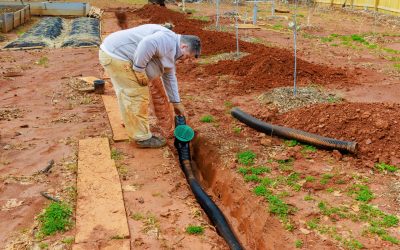 Why Professional Landscapers Prioritize Drainage Planning in Landscaping Projects