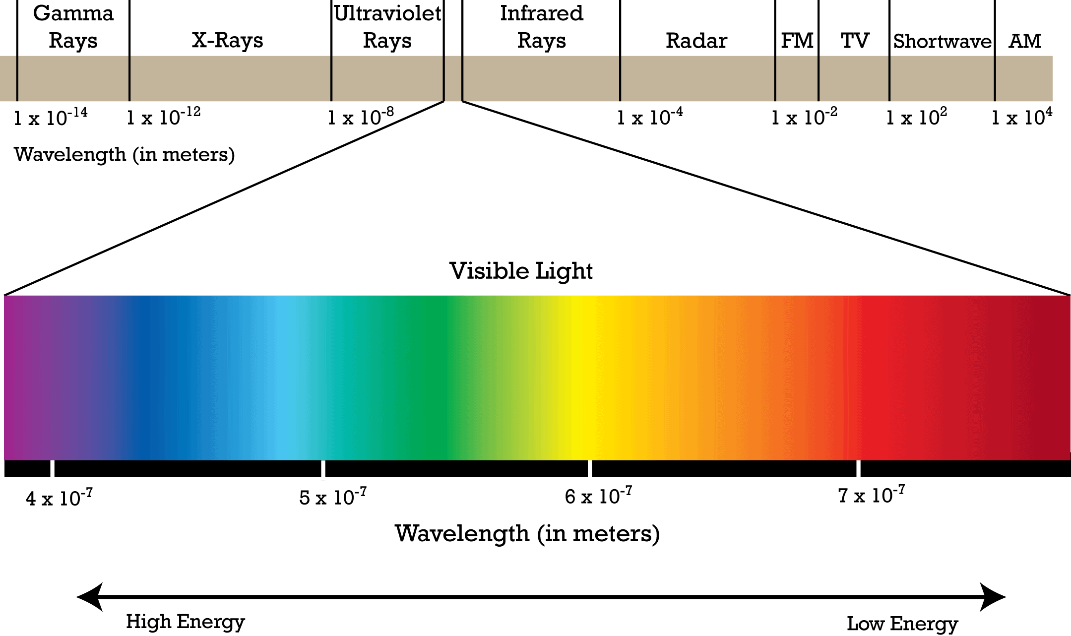Visible Light