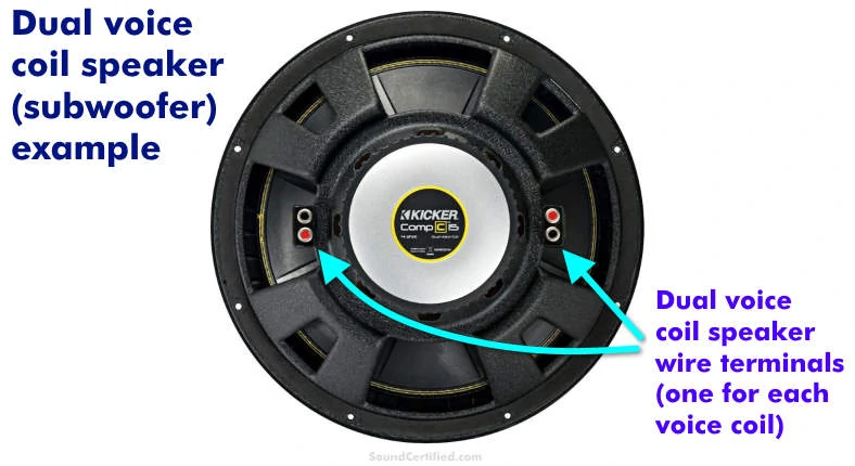 Dual voice coil subwoofer speaker example
