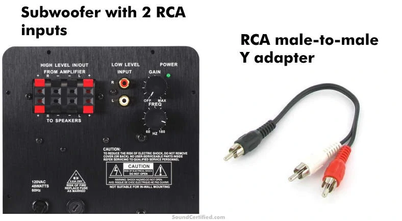Example of a powered subwoofer RCA jacks & RCA Y adapter cable