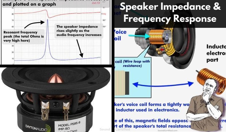 how does speaker impedance compare to frequency response featured image