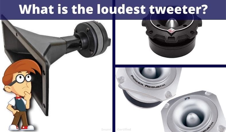 what is the loudest tweeter featured image