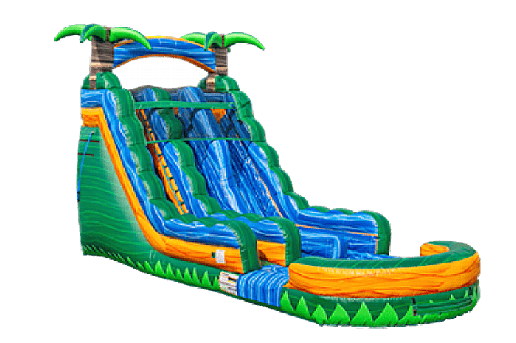 22 FT Emerald Rush Dual Lane Dry Slide