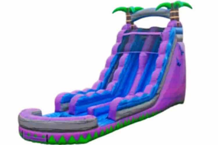 22 FT Purple Crush Dual Lane Dry Slide