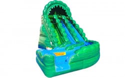 20 FT Raging Rapids Emerald Dual Lane Slide