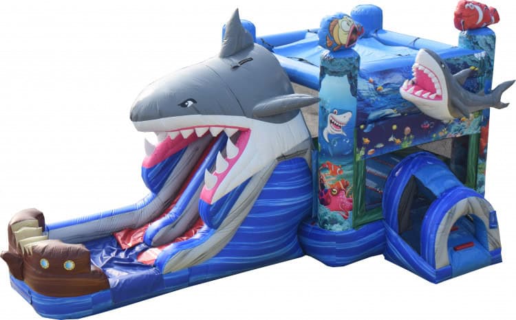 Shark Dual Lane Wet/Dry Combo