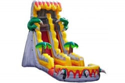 20 FT T-Rex Single Lane Dry Slide