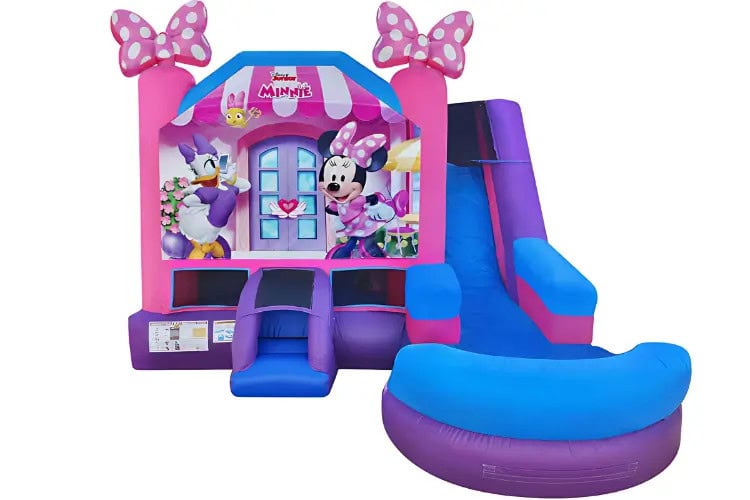 Minnie Mouse Wet/Dry Combo