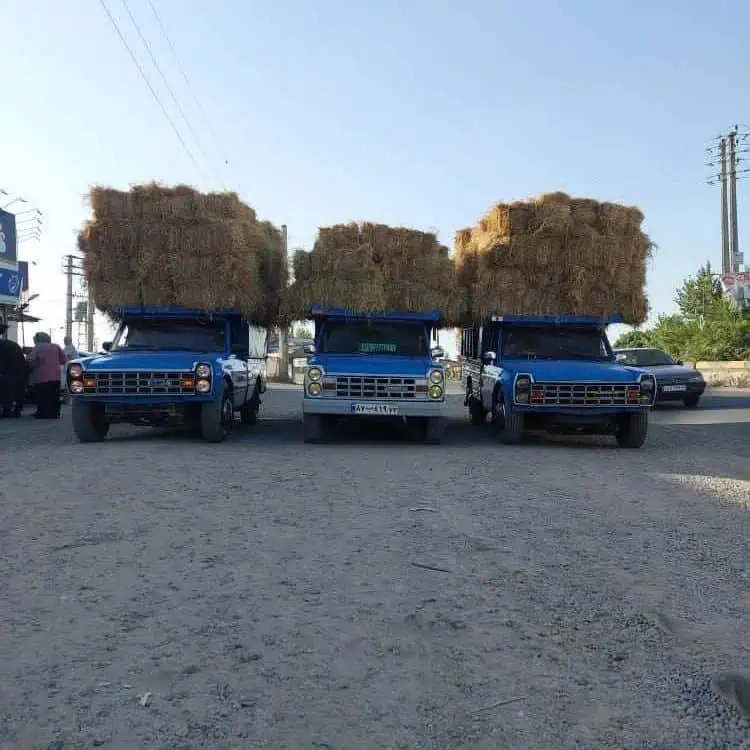 سه رفیق نیسان سوار