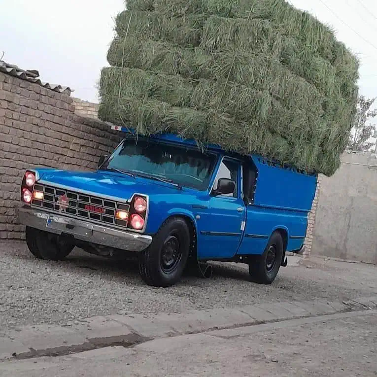 نیسان آبی با بار یونجه