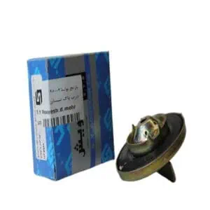 درب باک نیسان _رویش