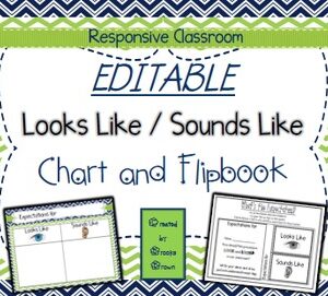 EDITABLE Looks Like/Sounds Like Chart & Flipbook