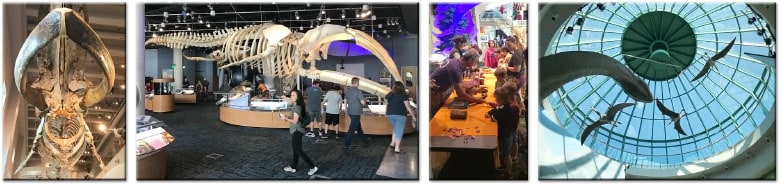 North Carolina Museum of Natural Sciences